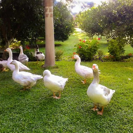 Doga Hotel